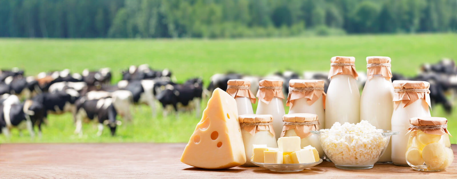 Молочные продукты